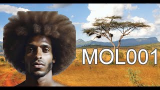 DNA  Traits of Kenyan Neolithic Pastorialist MOL001 [upl. by Nanreik]