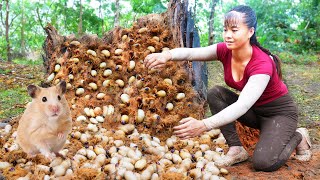 Harvesting Larvae and Pupae from tree trunks goes to the market sell  Daily life [upl. by Annaeerb]