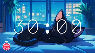 30 Minute Timer  Back to School Lofi Chill [upl. by Neelloc]