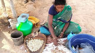 Cashew nut Processing  Cashew nut  Roasting Cashew nut  Cashew nut Processing india [upl. by Anavahs]