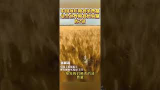 中国每年粮食消费量 是全世界粮食贸易量的2倍 [upl. by Springer]