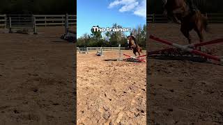 The student vs the teacher 😍😍 horse equestrain horsefan trending youtubeshorts [upl. by Samot91]