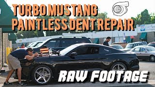 Turbo Mustang Hood Repair  Paintless Dent Removal  Dentless Touch [upl. by Richara562]