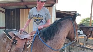 Horse Training  First Ride First Mount [upl. by Mumford27]