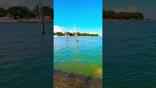 CHILIKA BALUGAON  odisha khordha shortvideos bestplace 👍👍 [upl. by Milson]