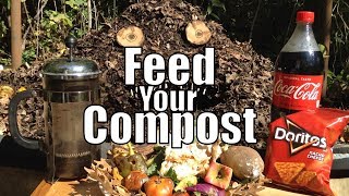 Feed Your Compost 💩 Tips for Starting amp Maintaining A Compost Pile [upl. by Andreas]