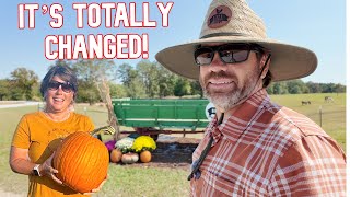 Fall Surprises on the Farm Big Changes You Won’t Believe [upl. by Ihcehcu]