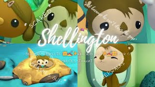 shellington from octonauts being an absolute 👑💅✨king and icon✨💅👑 for 6 minutes straight [upl. by Lunette51]