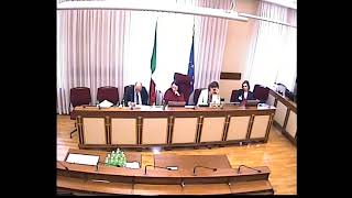 Audizioni Pinelli Golfo Iannini  Comm Femminicidio  20 maggio 2024 [upl. by Studdard673]