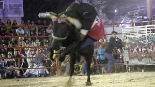 LLEGARON IMPONENTES LOS EXTERMINADORES  RANCHO LAS CUBATAS EN TLACOTEPEC GUERRERO 2024 [upl. by Chretien358]