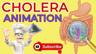 What is cholera  Causes Signs and Symptoms Diagnosis  Treatment  cholera animation  diarrhea [upl. by Alarice]