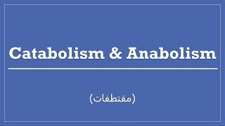 Catabolism amp Anabolism  Metabolism [upl. by Aylmar]