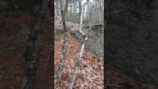 Ruins  Townsend State Forest [upl. by Josy503]