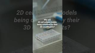 2D vs 3D Cell Culture Models [upl. by Jeannie]