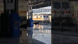 22307 Bikaner Sf Express Arrived Lalgarh for shunting like train trending shorts railway yt [upl. by Burty721]