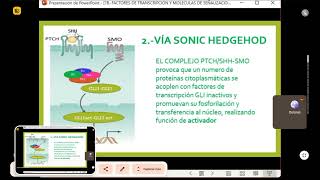 embriologia 19 de agosto [upl. by Biegel]