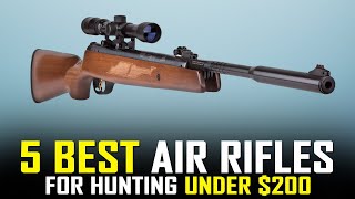 5 Best Break Barrel Air Rifle for Hunting Under 200 2021 [upl. by Kciregor758]