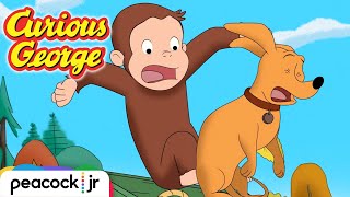 🎉 🚂 Surprise Birthday Party Gone Wrong  CURIOUS GEORGE [upl. by Ariet]