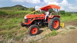 Ace 550 50 hp tractor with 6feet rotavetor on farm [upl. by Eveam888]