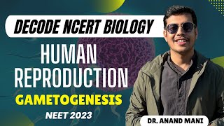 Human Reproduction  Gametogenesis  Decode NCERT Biology  Dr Anand Mani  NEET 2023 [upl. by Mij596]