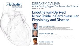 EndotheliumDerived Nitric Oxide in Cardiovascular Physiology and Disease J Cooke MD March 8 2021 [upl. by Leksehc545]