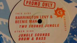 Barrington Levy amp beenie Man  Two Sounds Jungle  GRED 5013  95 Jungle [upl. by Esenaj830]