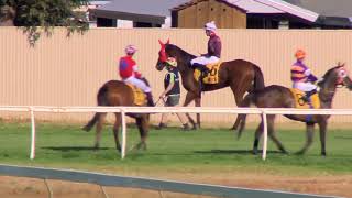 Kalgoorlie Cup Day October 7th 2023 Race 7 [upl. by Vandyke]