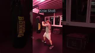 Knie Stoß kampfsporttraining motivation sports martialarts mma [upl. by Kallick470]