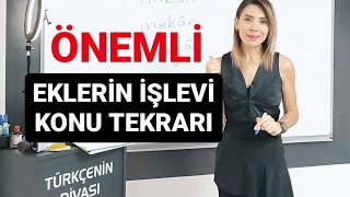 🚨EKLERİN İŞLEVİ KONU TEKRARI [upl. by Anaibaf424]