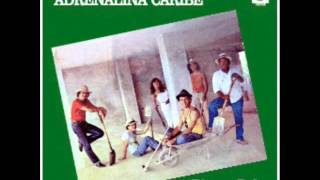 GRUPO ADRENALINA CARIBE  LA MINA [upl. by Barrus]