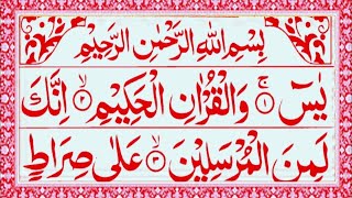 Surah Yaseen  Yasin Sharif  Episode 564  With Arabic Text HD  Read Daily Quran [upl. by Thorne923]