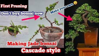 First pruning to make cascade style jade bonsai  jade bonsai for beginners [upl. by Arrad]