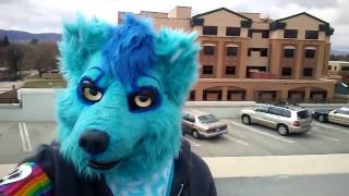 Furry Raiders  Fort Collins Saint Patricks Day Parade [upl. by Close]