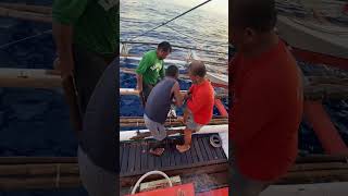 Tunay na buhay trending fishing bigtuna tunafish gianttuna yellowfintuna youtubeshorts [upl. by Obediah]