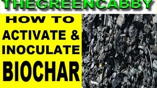 HOW TO ACTIVATE BIOCHAR EASY  TOP 3 WAYS TO INOCULATE BIO CHAR TERRA PRETA CHARCOAL [upl. by Yrbua]