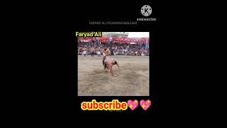 Faryad Ali shaker pur vs Ramna maleyaaan alaa best taker 🔥🔥🔥🔥viral shortsportkabaddi subscribe [upl. by Yoko]