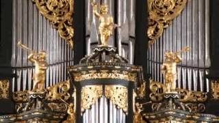 Sietze de Vries  Martinikerk Improvisation Psalm 43 presentatie [upl. by Lesde]