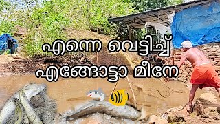 എന്നെ വെട്ടിച്ച് എങ്ങോട്ടാ മീനേ  Achankunju Achayan [upl. by Dnomar]