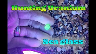 Hunting for RARE Uranium Sea Glass [upl. by Nellda317]