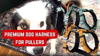 Premium ExtraDurable Explorer Dog Harness from Made to Roam Soft Padded Leather Handle Review [upl. by Vita398]