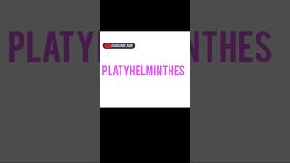 PLATYHELMINTHES [upl. by Baten985]