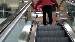 Fire Alarm amp Schindler Escalators at Sears Westfield South Shore Bay Shore NY [upl. by Rednaxela]