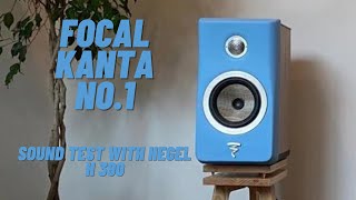 Focal Kanta No 1 Sound Test With Hegel H390 [upl. by Zosema]