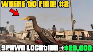 Where To Find Great Cormorant In GTA Online  Easy 100000 [upl. by Launame]