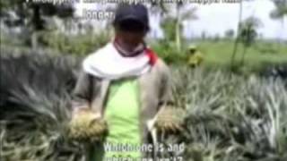 DI Grow Organic Foliar Fertilizer Part 1 of 2 [upl. by Herring]