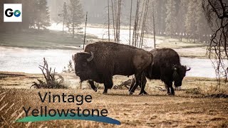 Vintage Yellowstone The Worlds First National Park  Full Vintage Documentary [upl. by Swithin]