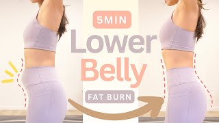 Quick Lower Belly Fat Workout  100 Burn amp Result Guaranteed  No equipment [upl. by Lyram]