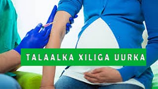 Talaalka Hooyada uurka leh u baahantahay iyo xiliyada ku Haboon [upl. by Odnaloy]