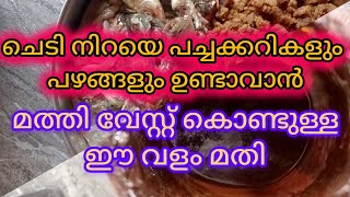 പച്ചക്കറികളും പഴങ്ങളും നിറയെ ഉണ്ടാവാൻ മത്തി വേസ്റ്റ് കൊണ്ട് അടിപൊളി വളം fish amino acid malayalam [upl. by Oilisab886]