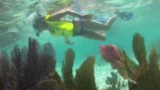 Keys Diver Snorkeling GoPro [upl. by Ayian]